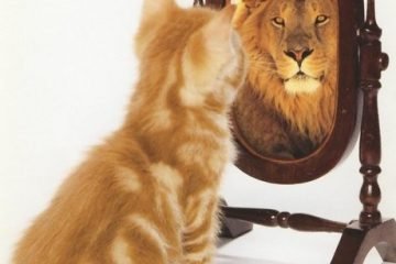 קרב התסכול הגדול: מי שאני vs. מי שאני רוצה להיות